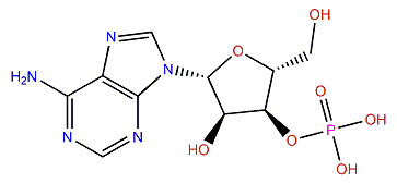Adenosine 3'-monophosphate